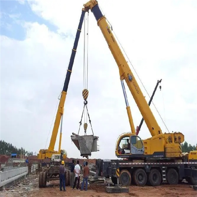 苍南小型吊机出租电话|厂房设备吊装方案|24小时服务覆盖